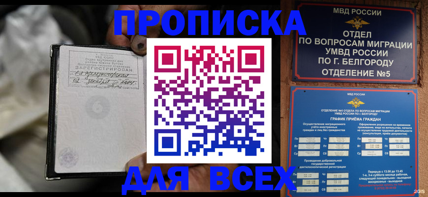 где прописаться в Шали